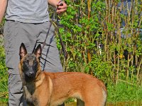 01a BestJug ML Arica Sun v.d.Feuerpfoten